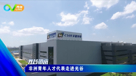 《光谷新闻》 光谷企业家电影院里讲党史